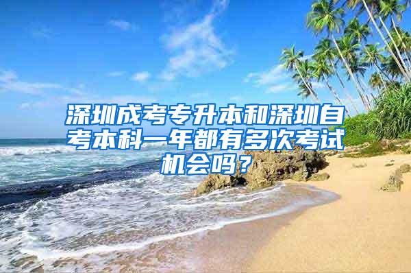 深圳成考专升本和深圳自考本科一年都有多次考试机会吗？