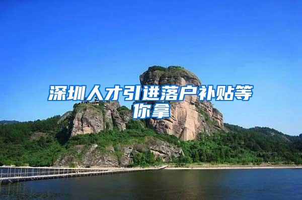 深圳人才引进落户补贴等你拿