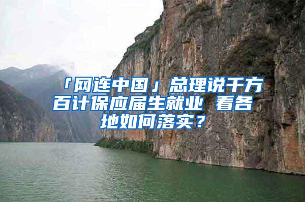 「网连中国」总理说千方百计保应届生就业 看各地如何落实？