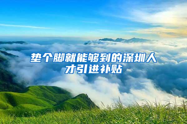 垫个脚就能够到的深圳人才引进补贴