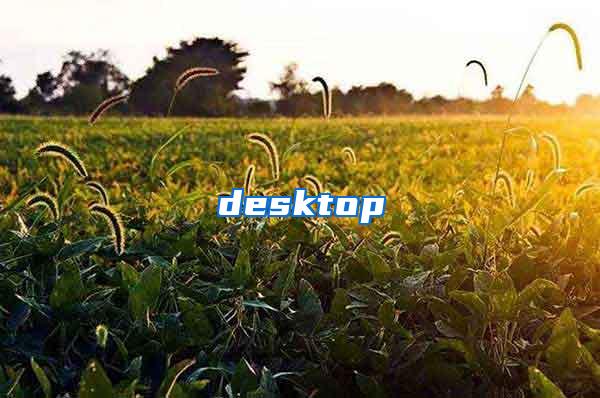 desktop
