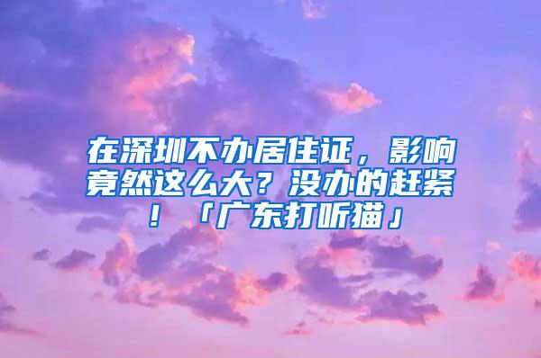 在深圳不办居住证，影响竟然这么大？没办的赶紧！「广东打听猫」