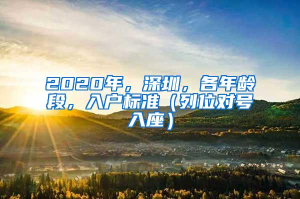 2020年，深圳，各年龄段，入户标准（列位对号入座）