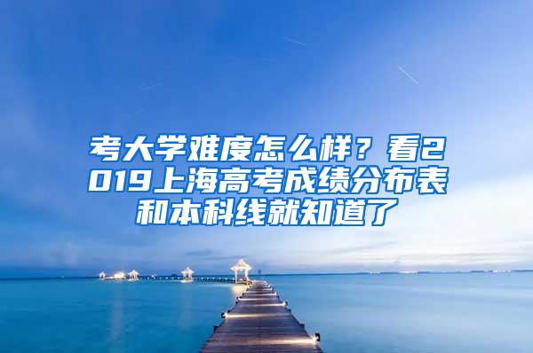 考大学难度怎么样？看2019上海高考成绩分布表和本科线就知道了