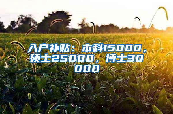入户补贴：本科15000，硕士25000，博士30000