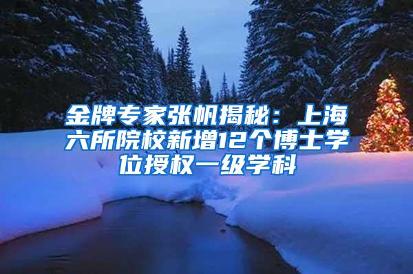 金牌专家张帆揭秘：上海六所院校新增12个博士学位授权一级学科