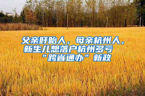 父亲盱眙人，母亲杭州人，新生儿想落户杭州多亏“跨省通办”新政