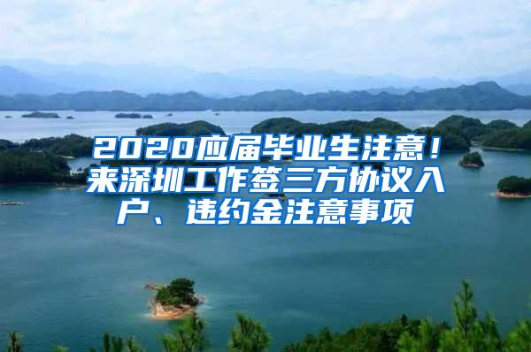 2020应届毕业生注意！来深圳工作签三方协议入户、违约金注意事项
