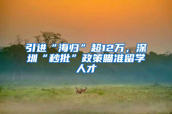 引进“海归”超12万，深圳“秒批”政策瞄准留学人才