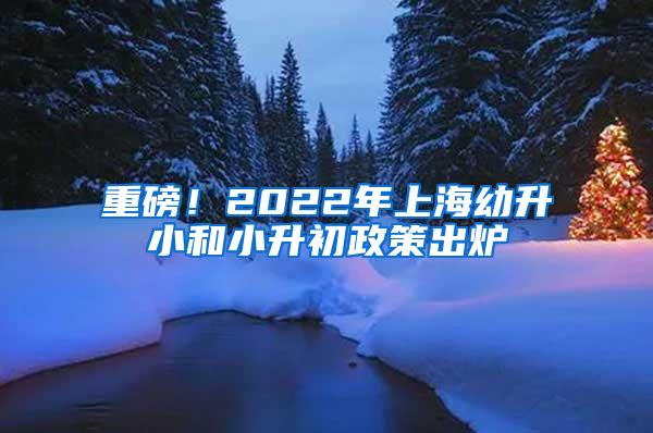 重磅！2022年上海幼升小和小升初政策出炉