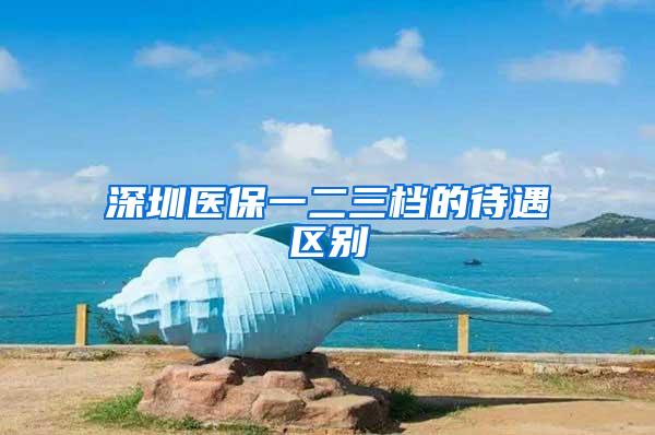 深圳医保一二三档的待遇区别