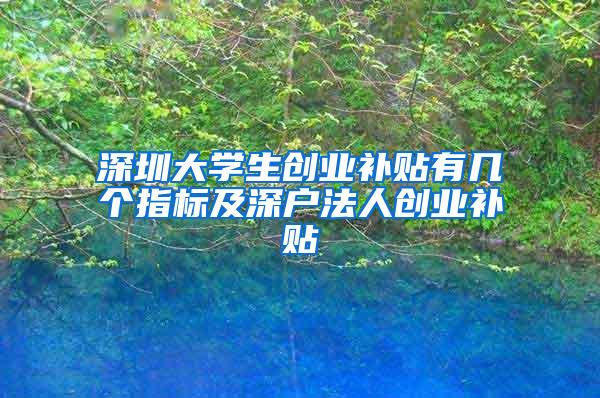 深圳大学生创业补贴有几个指标及深户法人创业补贴