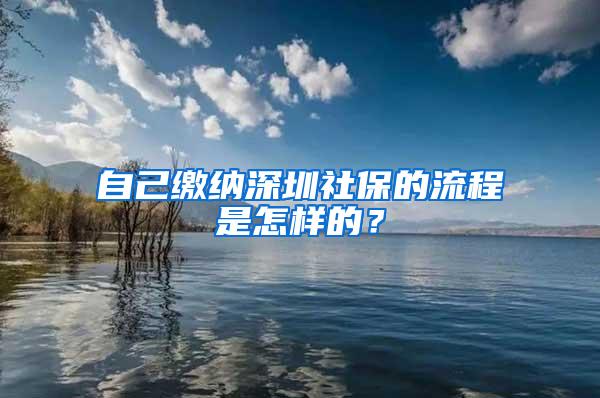 自己缴纳深圳社保的流程是怎样的？
