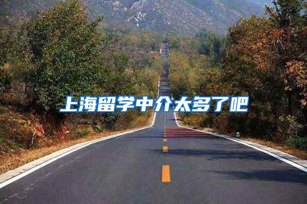 上海留学中介太多了吧