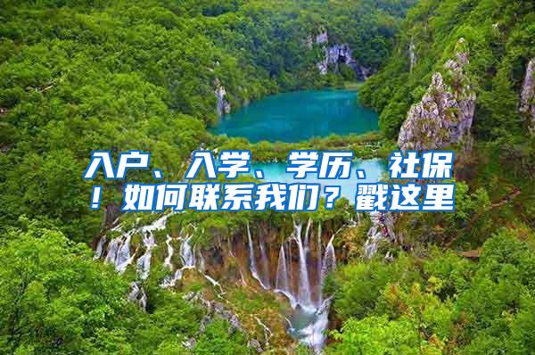 入户、入学、学历、社保！如何联系我们？戳这里