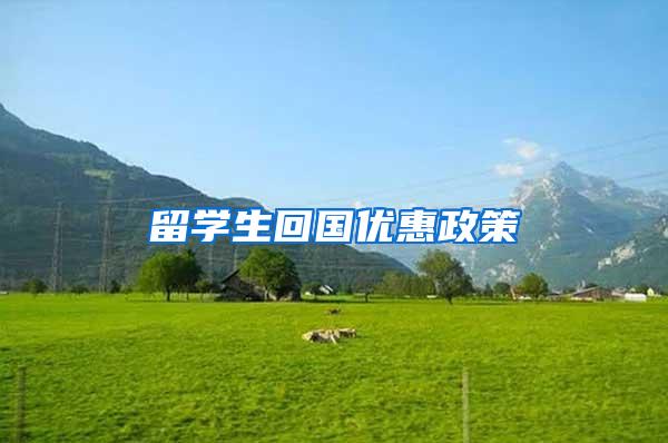 留学生回国优惠政策