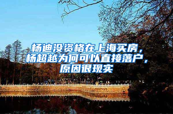 杨迪没资格在上海买房，杨超越为何可以直接落户，原因很现实