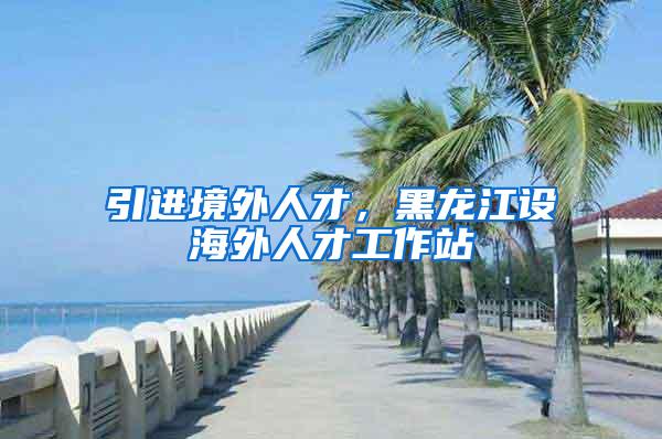 引进境外人才，黑龙江设海外人才工作站