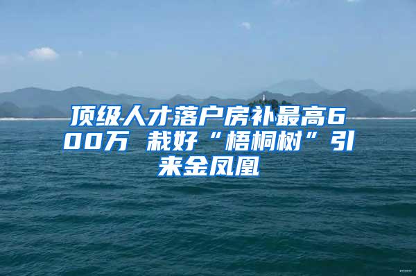 顶级人才落户房补最高600万 栽好“梧桐树”引来金凤凰