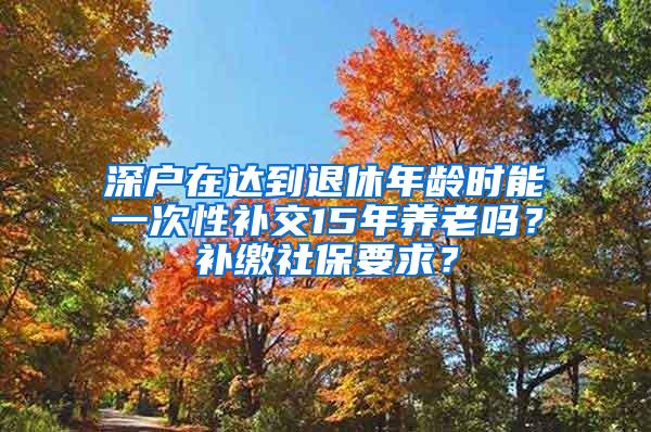 深户在达到退休年龄时能一次性补交15年养老吗？补缴社保要求？