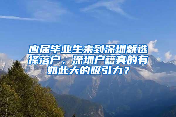 应届毕业生来到深圳就选择落户，深圳户籍真的有如此大的吸引力？