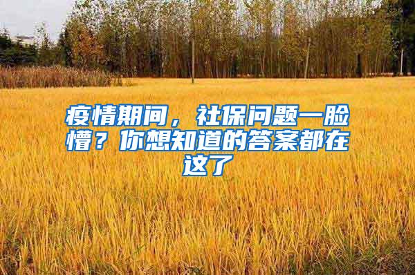 疫情期间，社保问题一脸懵？你想知道的答案都在这了