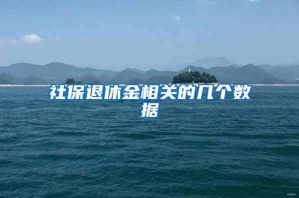 社保退休金相关的几个数据