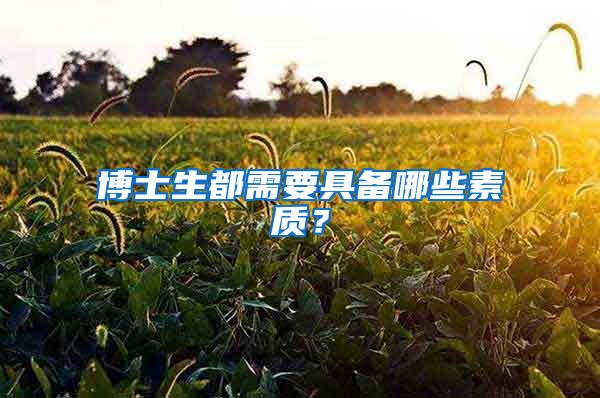 博士生都需要具备哪些素质？