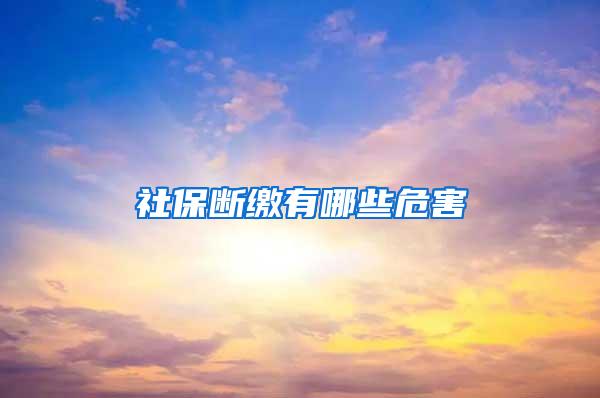 社保断缴有哪些危害