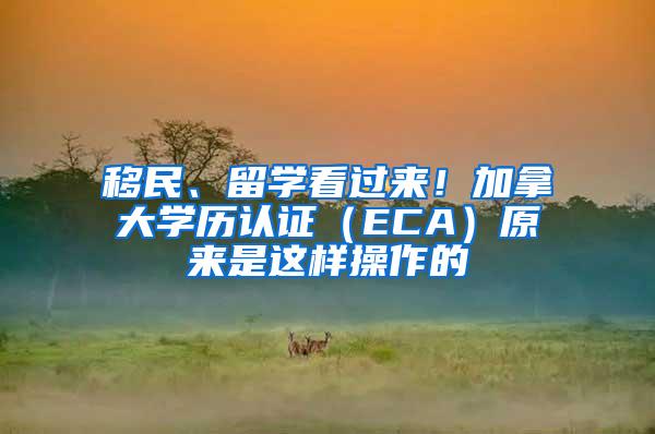 移民、留学看过来！加拿大学历认证（ECA）原来是这样操作的