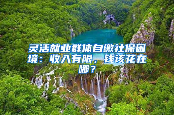 灵活就业群体自缴社保困境：收入有限，钱该花在哪？
