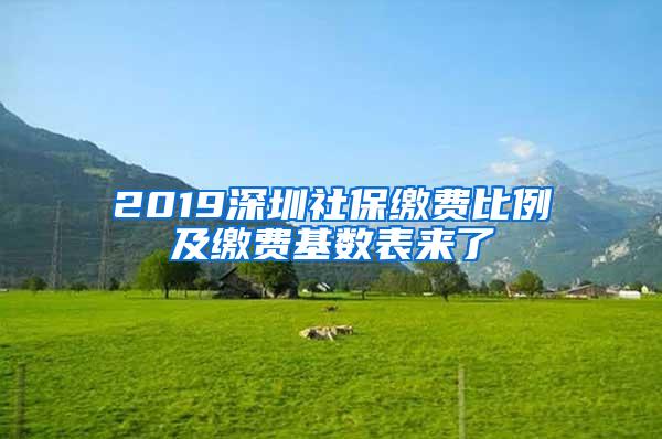 2019深圳社保缴费比例及缴费基数表来了