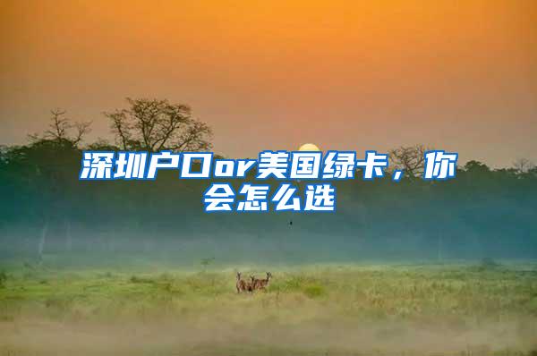 深圳户口or美国绿卡，你会怎么选