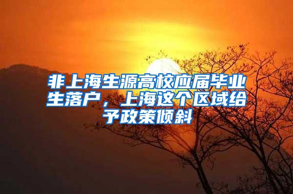 非上海生源高校应届毕业生落户，上海这个区域给予政策倾斜