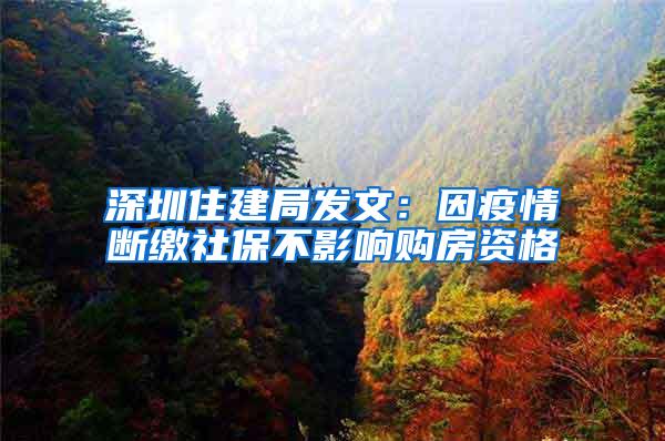 深圳住建局发文：因疫情断缴社保不影响购房资格
