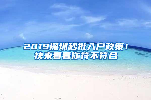 2019深圳秒批入户政策！快来看看你符不符合