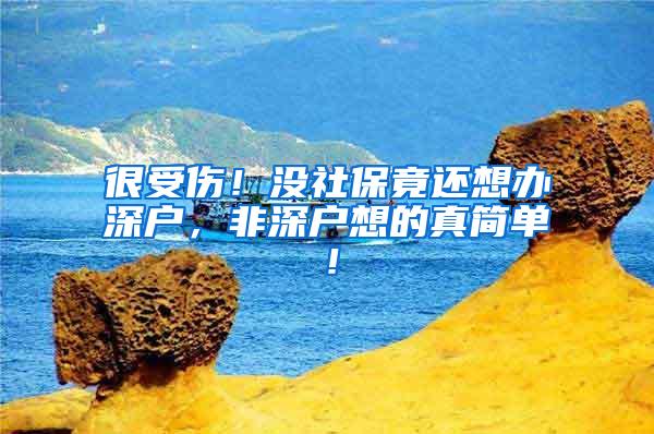 很受伤！没社保竟还想办深户，非深户想的真简单！