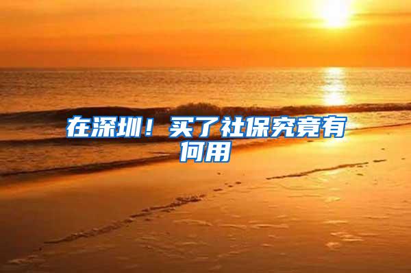 在深圳！买了社保究竟有何用