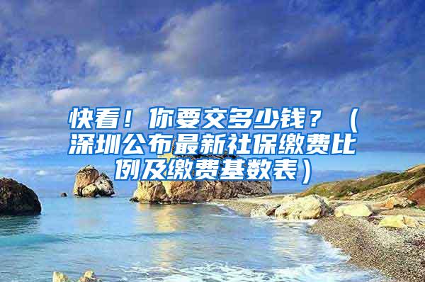 快看！你要交多少钱？（深圳公布最新社保缴费比例及缴费基数表）