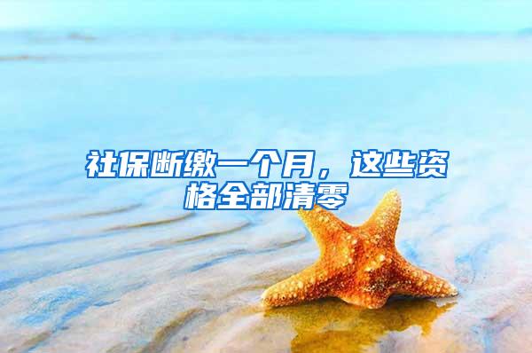 社保断缴一个月，这些资格全部清零