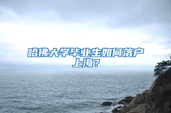 哈佛大学毕业生如何落户上海？