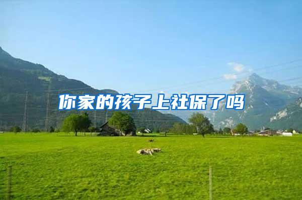 你家的孩子上社保了吗