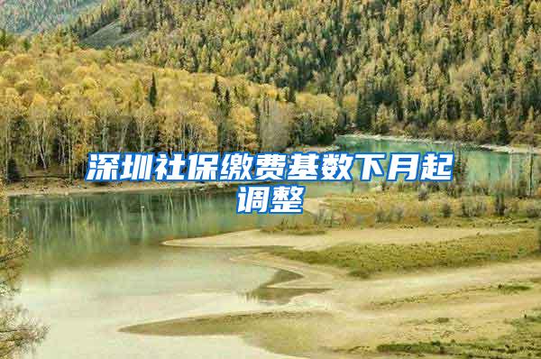深圳社保缴费基数下月起调整