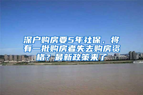深户购房要5年社保，将有一批购房者失去购房资格？最新政策来了