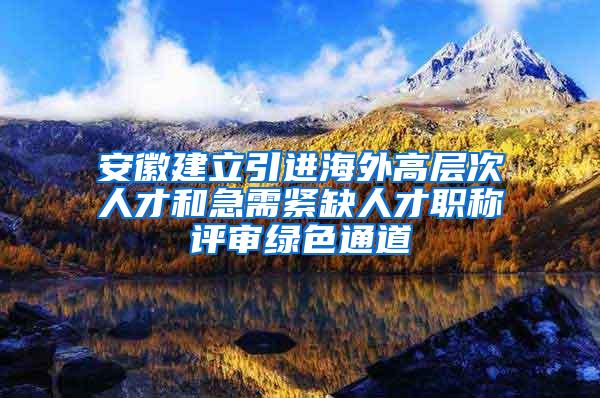 安徽建立引进海外高层次人才和急需紧缺人才职称评审绿色通道