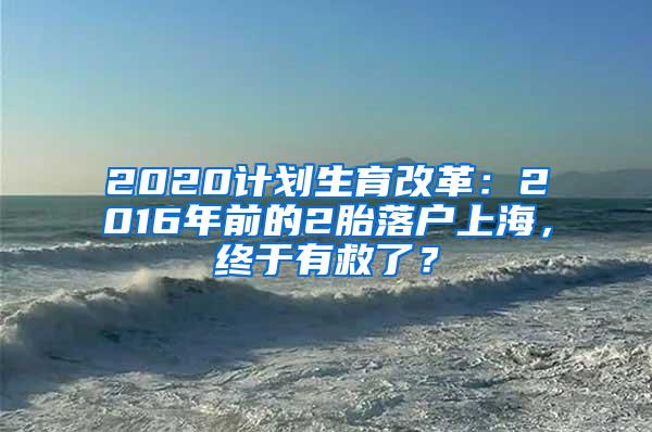 2020计划生育改革：2016年前的2胎落户上海，终于有救了？