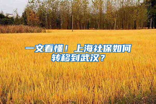 一文看懂！上海社保如何转移到武汉？
