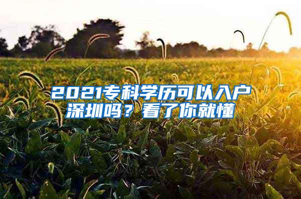 2021专科学历可以入户深圳吗？看了你就懂