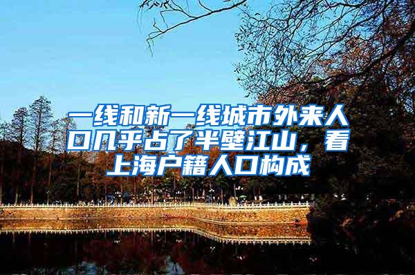 一线和新一线城市外来人口几乎占了半壁江山，看上海户籍人口构成