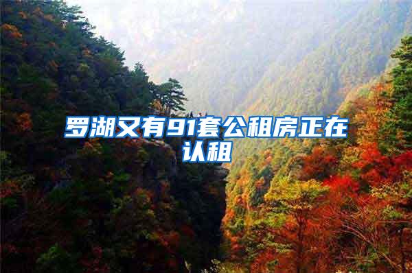 罗湖又有91套公租房正在认租